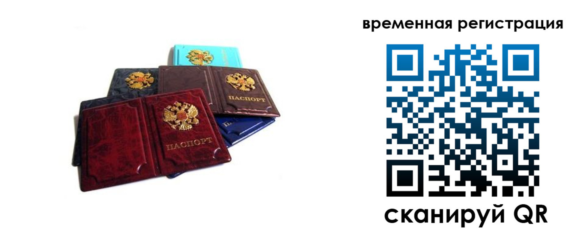 прописка гарантия в Клинцах
